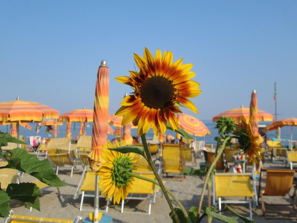 Residence Mare Verde Pietra Ligure Eksteriør billede